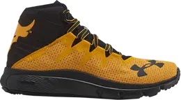 Кроссовки Under Armour Project Rock Delta Steeltown Gold, желтый 3021055 701 | yellow