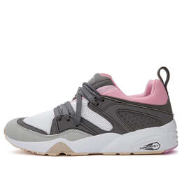 Кроссовки solebox x blaze of glory 'champagne' Puma, серый 364915-01 | graypurple/