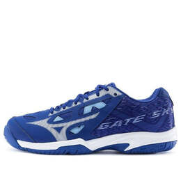 Кроссовки gate sky plus blue/white Mizuno, синий 71ga204001 | blue/white