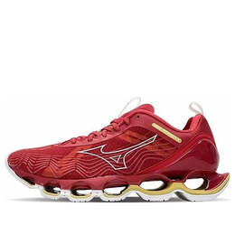 Кроссовки wave prophecy x 10 'red gold' Mizuno, красный j1gc215000 | red/gold