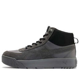 Кроссовки tarrenz sb sneakers grey Puma, серый 370551-03 | grey