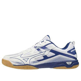 Кроссовки wave kaiserburg 7 'white blue' Mizuno, белый 81ga222027 | white/blue