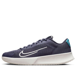 Кроссовки court vapor lite 2 'blue' Nike, синий dv2018-003 | blue/white