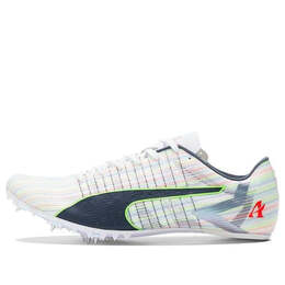 Кроссовки evo speed future 2 sp de grasse track spikes 'white' Puma, белый 376112-01 | white/grey/black/green