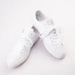 Кроссовки Converse Chuck Taylor All Star Lo, белый 399772 | white