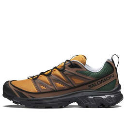Кроссовки xt-6 75th anniversary 417053 Salomon, желтый 417053 / l41705300 | yellow/brown/green