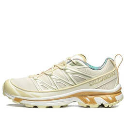 Кроссовки xt-6 expanse cottage core 'cream white' 471548 Salomon, бежевый 471548 / l47154800 | cream/white