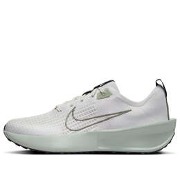 Кроссовки interact run 'platinum tint jade horizon' Nike, мультиколор fd2291-002 | platinum tint/jade horizon