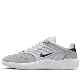 Кроссовки sb vertebrae 'platinum tinty navy' Nike, мультиколор fd4691-002 | platinum tint/wolf grey/summit white/midnight navy