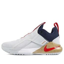 Кроссовки ambassador 11 'pure platinum' Nike, мультиколор ao2920-002 | pure platinum/university red