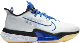 Кроссовки Nike Air Zoom BB NXT 'Sisterhood', белый db9990 100 | white