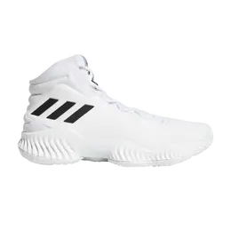 Кроссовки Adidas Pro Bounce 2018 'Footwear White', белый ac7429 | white