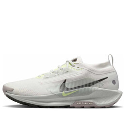 Кроссовки pegasus trail 5 gore-tex 'summit white sequoia' Nike, белый fq0908-102 | summit white/sequoia