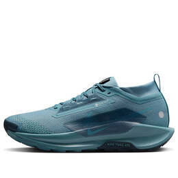 Кроссовки pegasus trail 5 gore-tex 'smokey blue armory navy' Nike, голубой fq0908-005 | smokey blue/light silver/armory navy