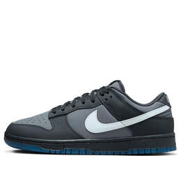 Кроссовки dunk low 'anthracite' Nike, мультиколор fv0384-001 | anthracite/pure platinum/cool grey