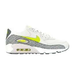 Кроссовки Nike Air Max 90 Leather 'Cactus Pack', серый 302519 031 | grey