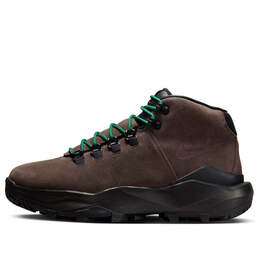 Кроссовки cygnal 'baroque brown' Nike, коричневый fv4332-200 | baroque brown/black/malachite