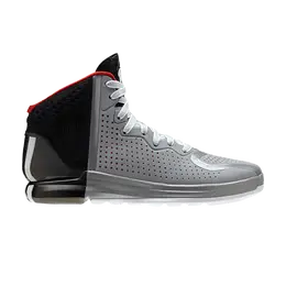 Кроссовки Adidas D Rose 4, серый g67398 | grey