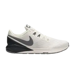Кроссовки Nike Air Zoom Structure 22 'Phantom Grey', серый aa1636 001 | grey