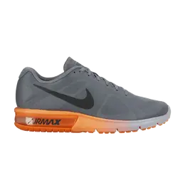Кроссовки Nike Air Max Sequent 'Cool Grey', серый 719912 014 | grey