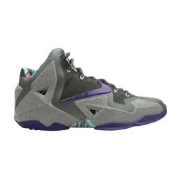Кроссовки Nike Lebron 11 Xdr 'Terracotta Warrior', серый 626374 005 | grey