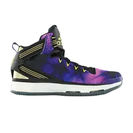 Кроссовки Adidas D Rose Boost 6, черный f37138 | black