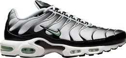Кроссовки Nike Air Max Plus 'Seafoam', белый dh4776 100 | white