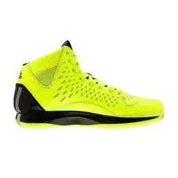 Кроссовки Adidas D Rose 3 'Electricity', зеленый g56949 | green