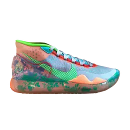 Кроссовки Nike Zoom KD 12 'EYBL', разноцветный cq4301 900 | multi-color