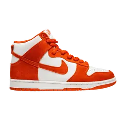 Кроссовки Nike Dunk High Pro SB 'Syracuse', белый 305050 181 | white