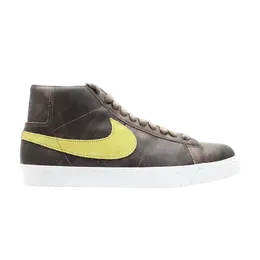 Кроссовки Nike Blazer Premium Sb, коричневый 314070 200 | brown