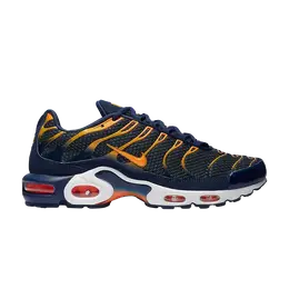 Кроссовки Nike Air Max Plus 'Blue Void', синий 852630 408 | blue