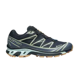 Кроссовки Salomon XT-6 GORE-TEX 'Carbon Desert Sage', серый l47291800 | grey