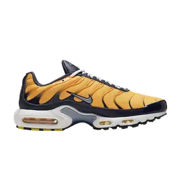 Кроссовки Nike Air Max Plus, оранжевый aj2013 800 | orange