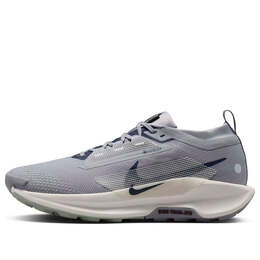 Кроссовки pegasus trail 5 gore-tex 'cement grey' Nike, серый fq0908-006 | cement grey/midnight navy/jade horizon