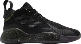 Кроссовки Adidas D Rose 773 2020, черный fw9838 | black