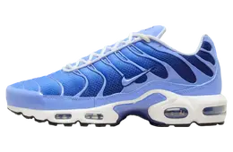 Кроссовки Nike Air Max Plus, синий dm0032 403