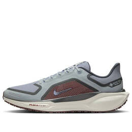 Кроссовки air zoom pegasus 41 gore-tex 'light pumice ashen slate burgundy' Nike, мультиколор fq1356-003 | light pumice/burgundy crush/dark smoke grey/ashen slate