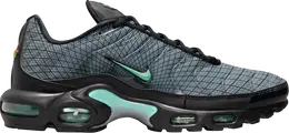 Кроссовки Nike Air Max Plus 'Spirograph', серый fb3351 001 | grey