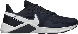 Кроссовки Nike Legend Essential 2 'Obsidian', синий cq9356 401 | blue
