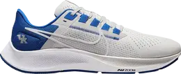 Кроссовки Nike Air Zoom Pegasus 38 'Kentucky', серый dj0830 001 | grey