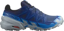 Salomon Кроссовки Speedcross 6 GORE-TEX 'Blueprint Quarry', синий l47302000 | blue