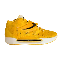 Кроссовки Nike KD 14 TB Amarillo, желтый dm5040 700 | amarillo