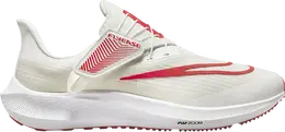 Кроссовки Nike Air Zoom Pegasus 39 FlyEase 'White Light Crimson', белый dj7381 003 | white