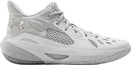 Кроссовки Under Armour HOVR Havoc 3 Grey Metallic Silver, серый 3023088 102 | grey
