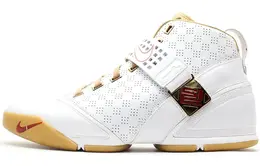 Мужские баскетбольные кроссовки Nike Lebron 5 Vintage 317253-171