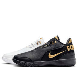 Кроссовки zoom lebron nxxt gen ampd ep 'equity' Nike, белый fj1567-103 | white/black/metallic gold