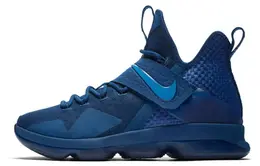 Мужские баскетбольные кроссовки Nike Lebron 14 852402-400