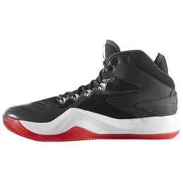 Баскетбольные кроссовки D Rose Dominate Basketball Shoes Men Mid-Top Black Adidas bb8182 | black