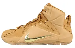 Мужские баскетбольные кроссовки Nike Lebron 12 744287-700